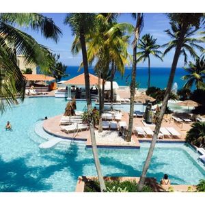 Meet your Posher, Tami